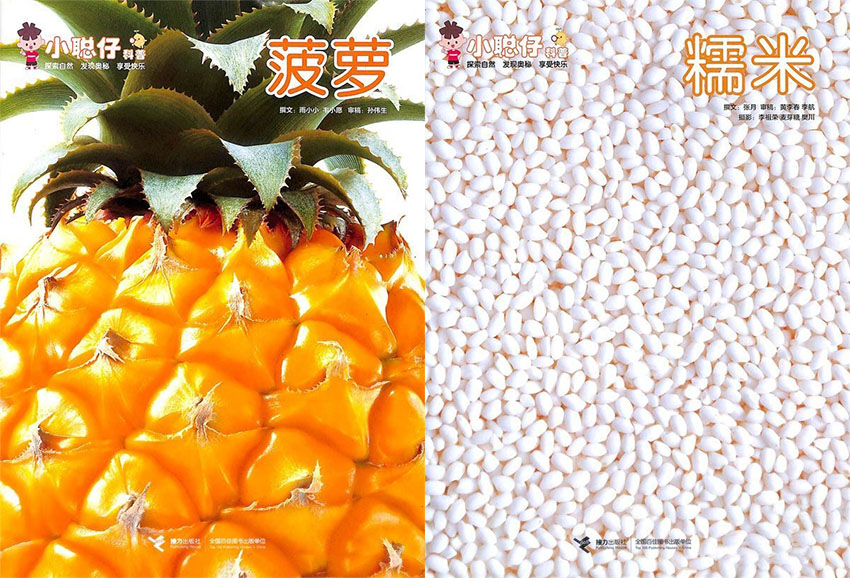 小聪仔样刊图片