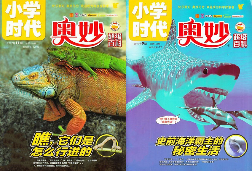 小学时代样刊图片