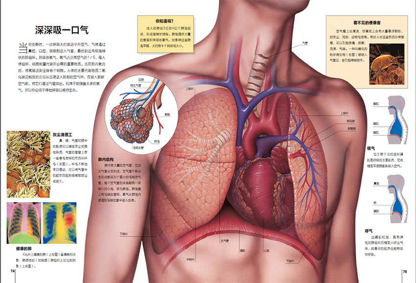 探索样刊图片