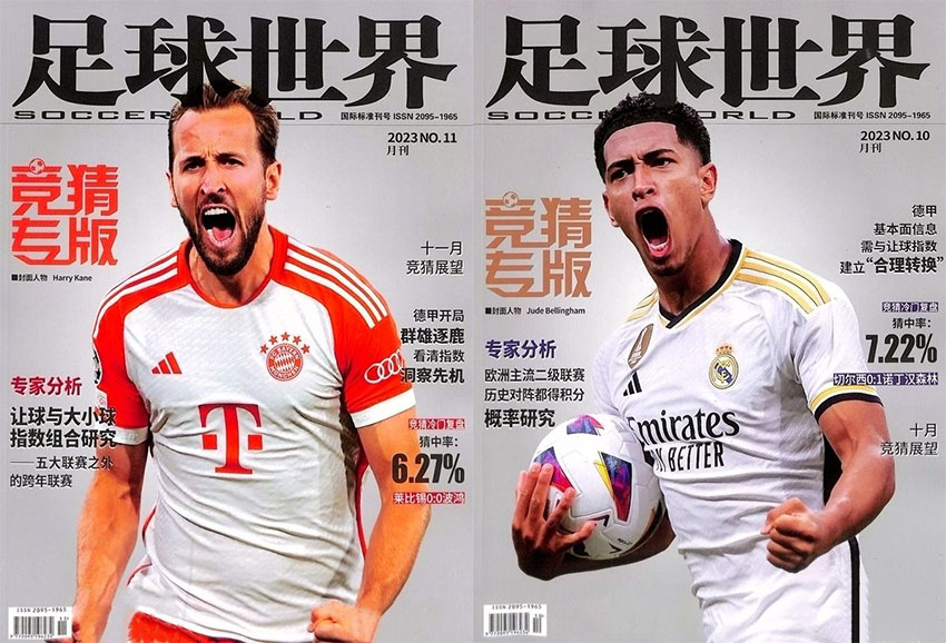 足球世界样刊图片
