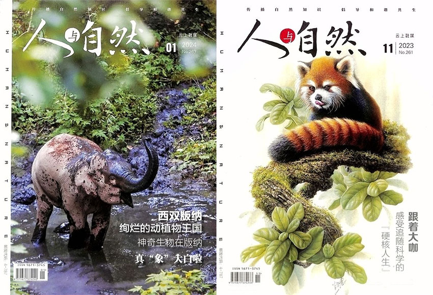 人与自然样刊图片