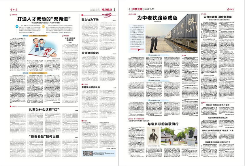 云南日报样刊图片
