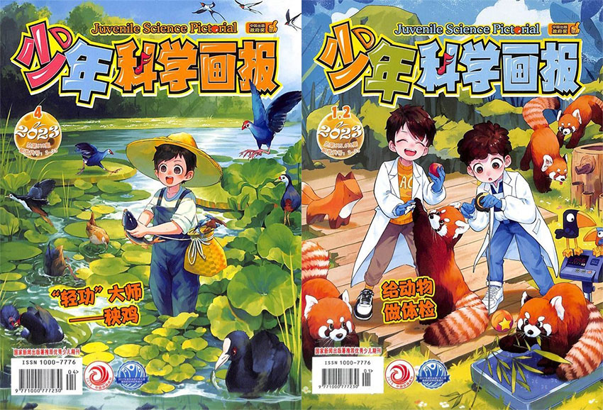 少年科学画报样刊图片