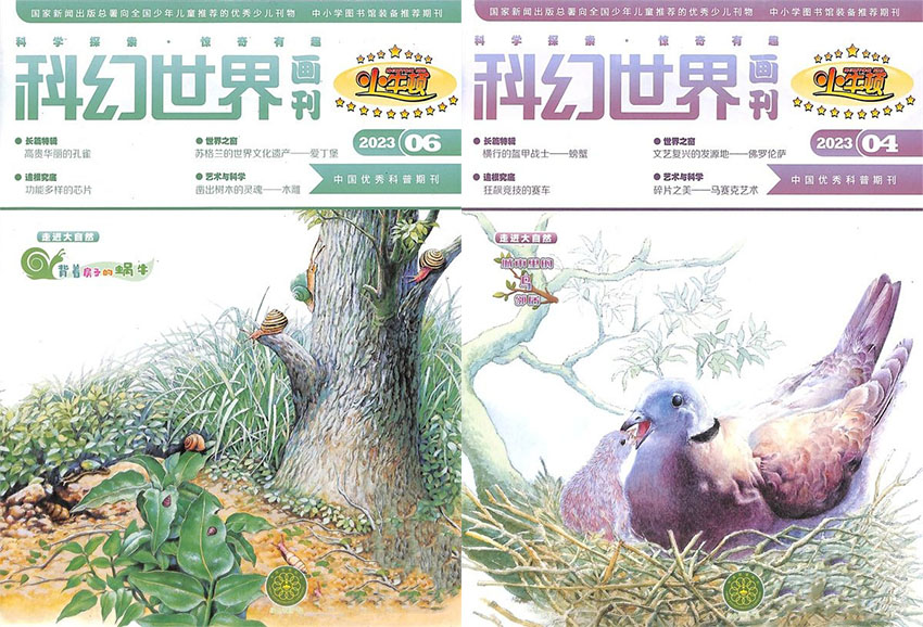 小牛顿样刊图片