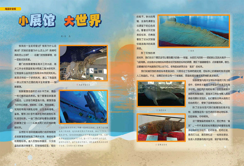 百科探秘样刊图片