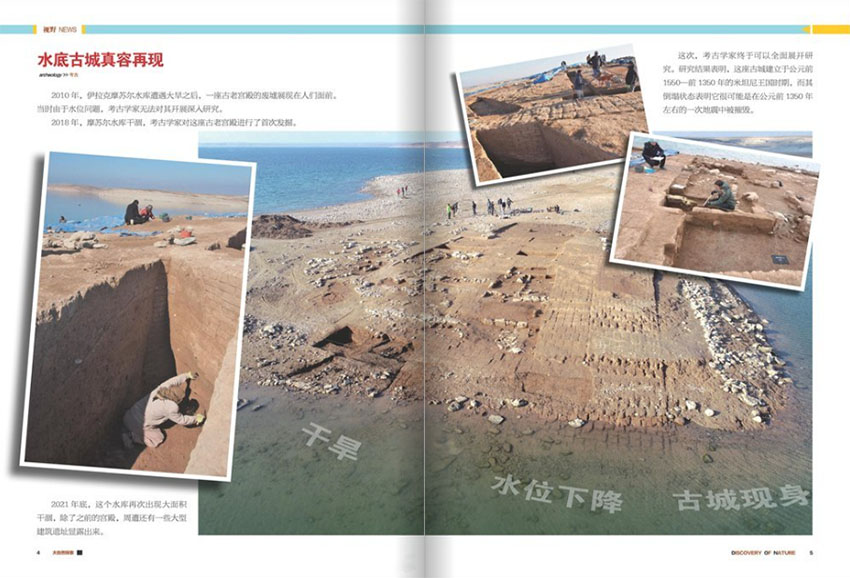 大自然探索样刊图片