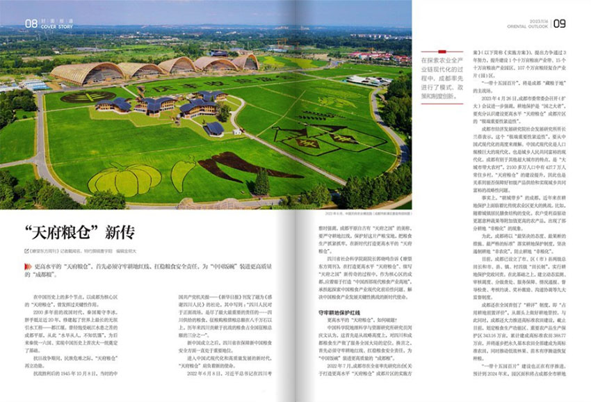 瞭望东方周刊样刊图片
