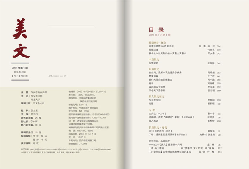 美文样刊图片