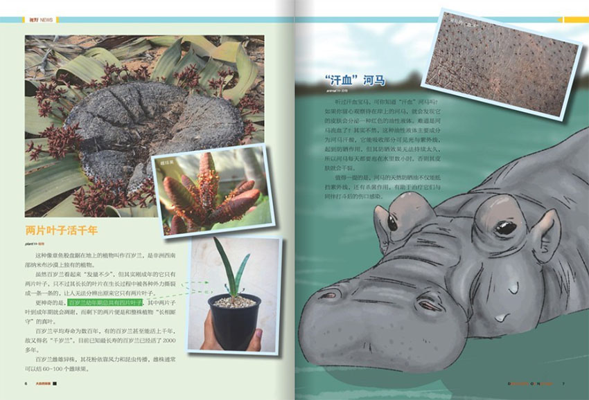 大自然探索样刊图片
