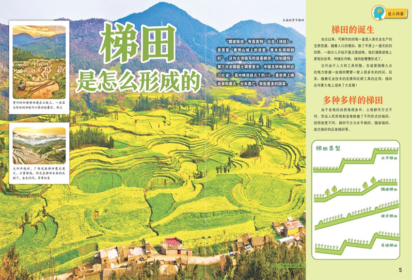 十万个为什么样刊图片