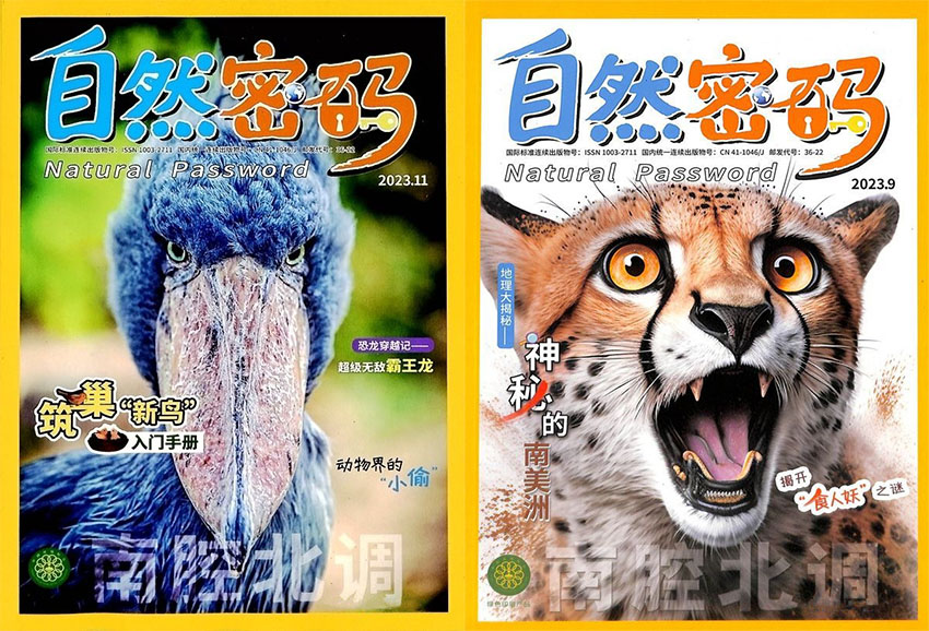自然密码样刊图片