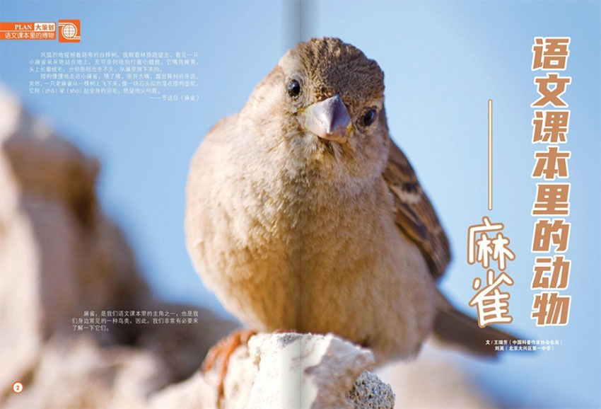 天天爱科学样刊图片