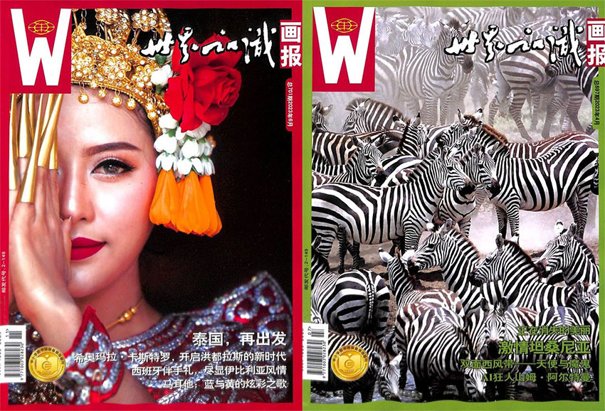 世界知识画报样刊图片