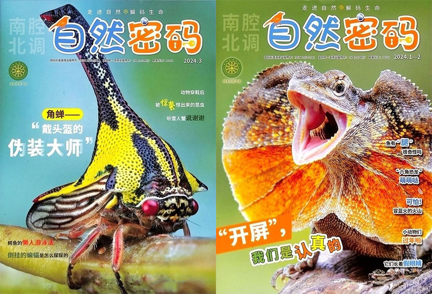 自然密码样刊图片