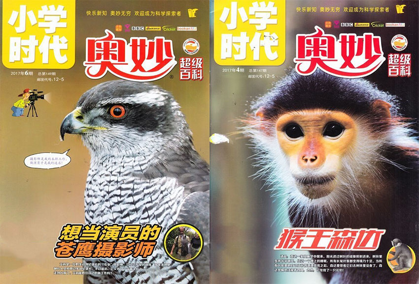小学时代样刊图片