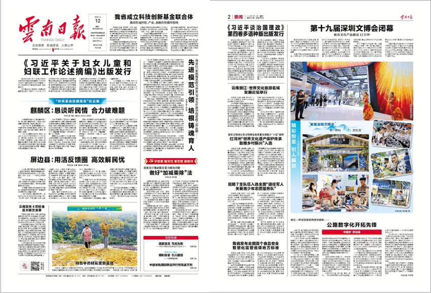 云南日报样刊图片