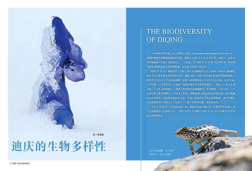 西藏人文地理样刊图片