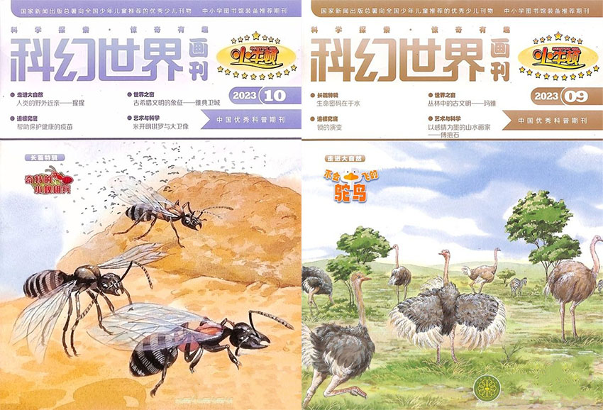 小牛顿样刊图片