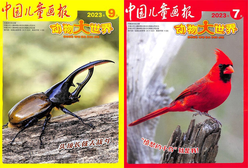 动物大世界样刊图片
