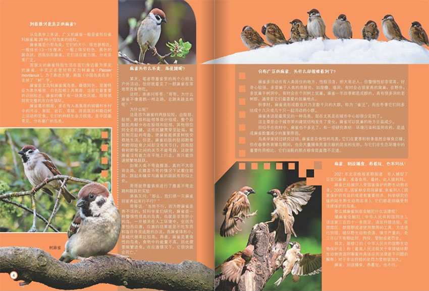 天天爱科学样刊图片