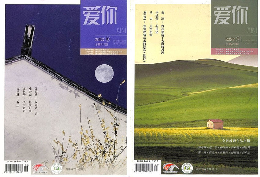 爱你样刊图片