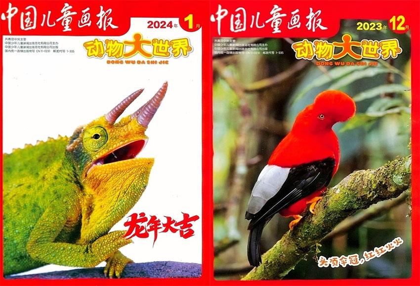 动物大世界样刊图片