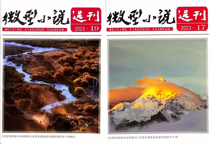 微型小说选刊样刊图片