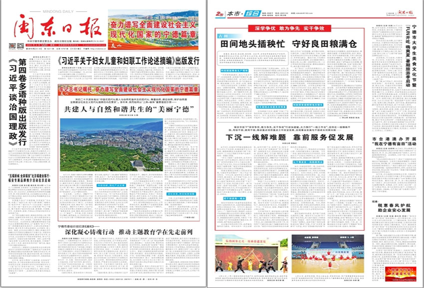 闽东日报样刊图片