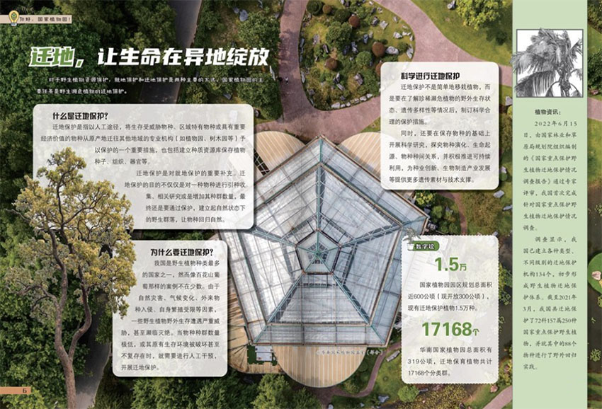 少儿科学周刊样刊图片