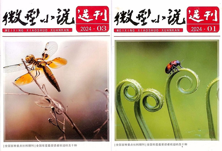微型小说选刊样刊图片