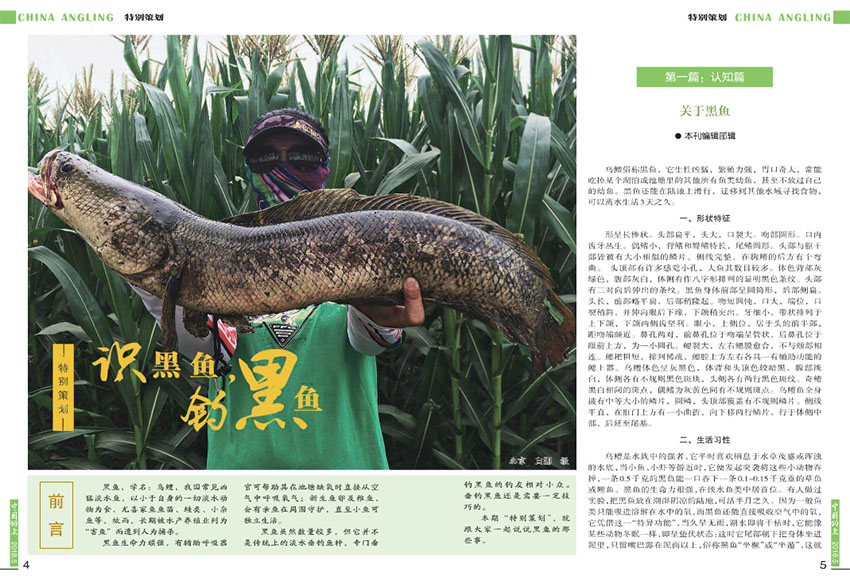 中国钓鱼样刊图片