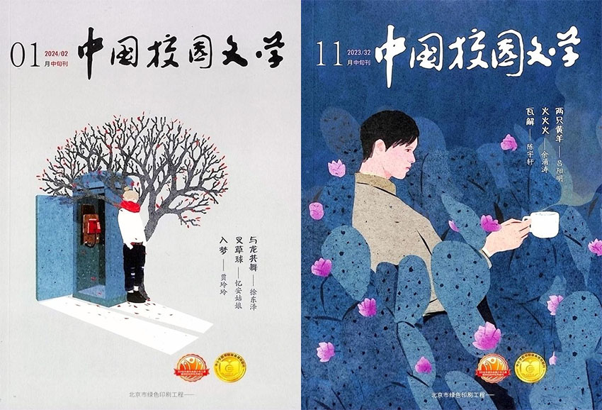 中国校园文学样刊图片