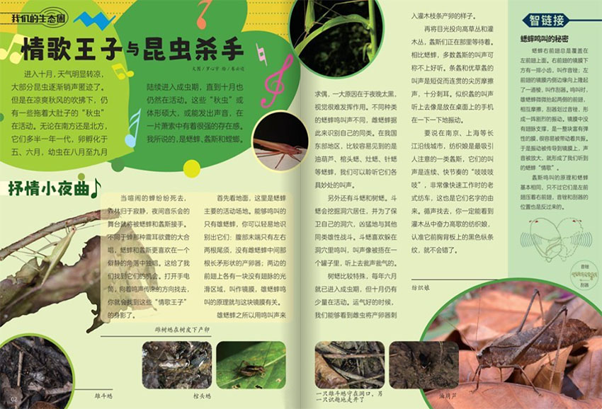 自然探秘样刊图片