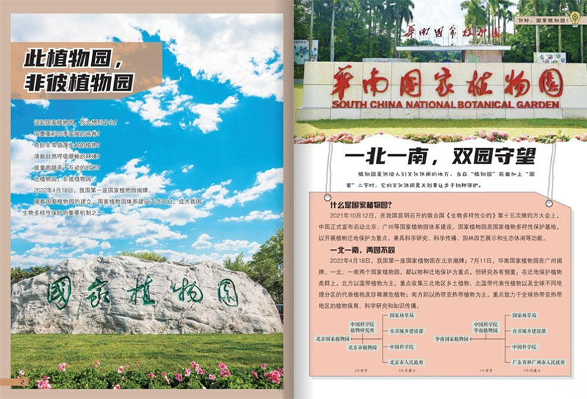 少儿科学周刊样刊图片