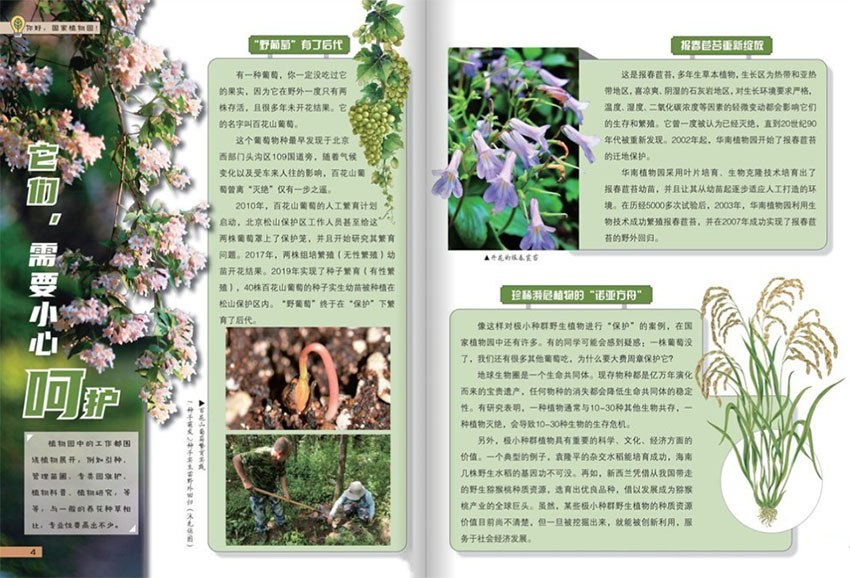 少儿科学周刊样刊图片