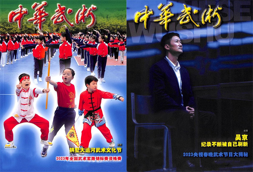 中华武术样刊图片