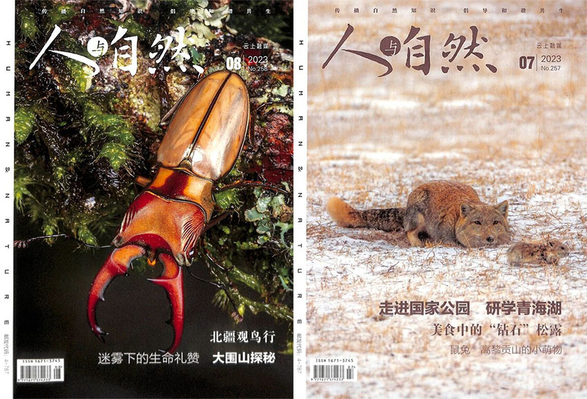 人与自然样刊图片