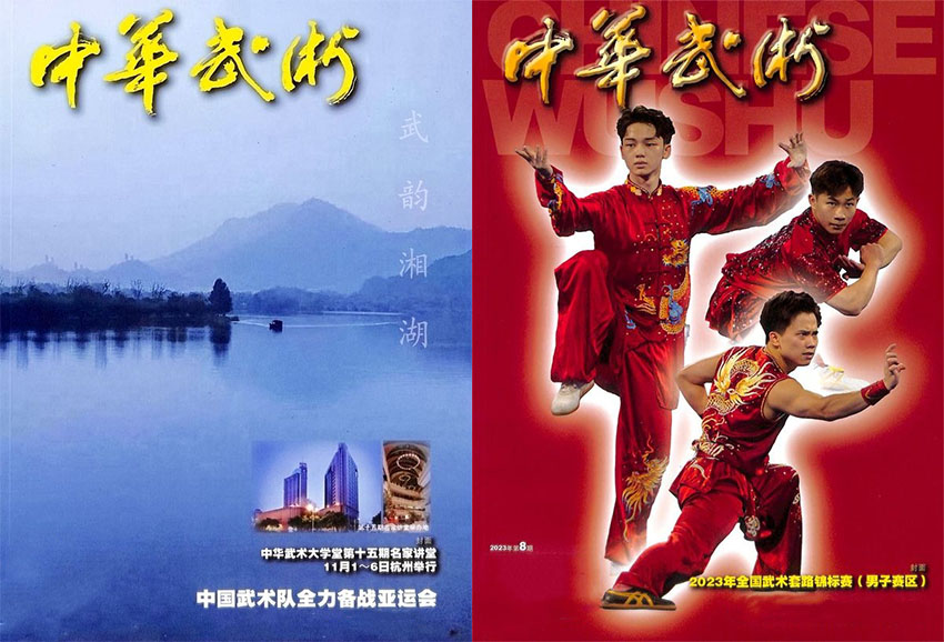 中华武术样刊图片