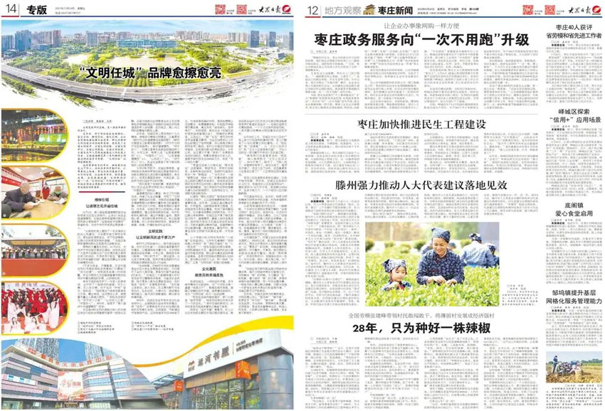 大众日报样刊图片
