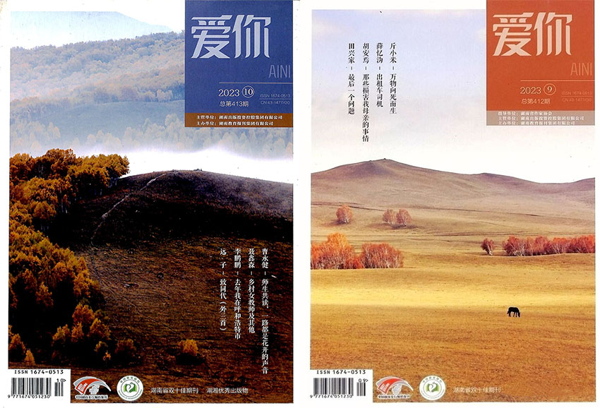 爱你样刊图片