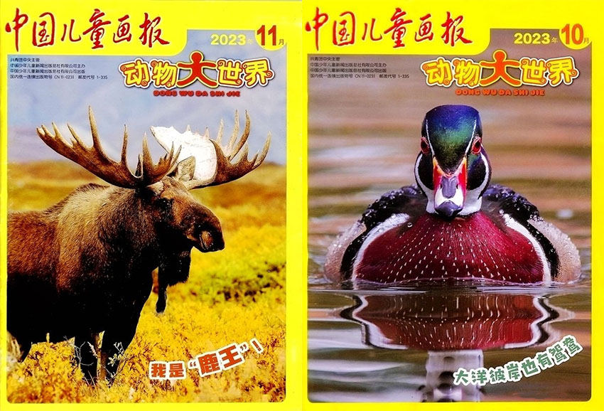 动物大世界样刊图片