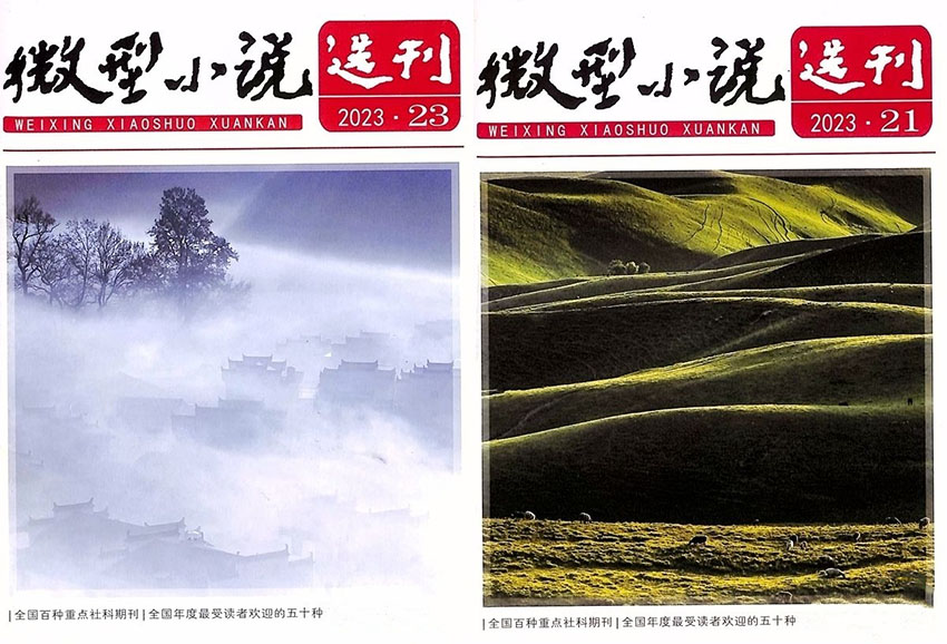 微型小说选刊样刊图片