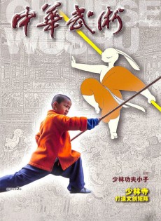 中华武术