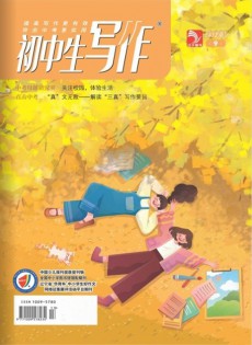 初中生写作