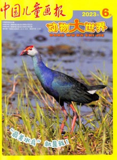 动物大世界