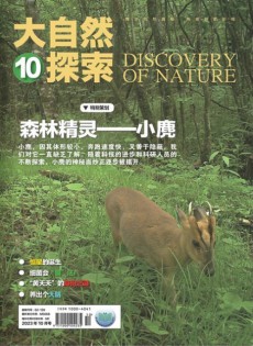 大自然探索