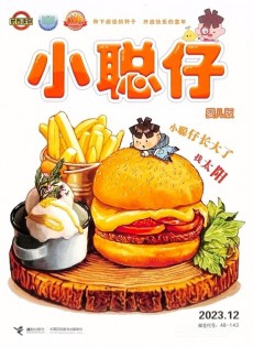 小聪仔婴儿版