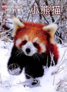 小聪仔