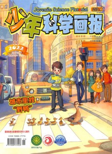 少年科学画报