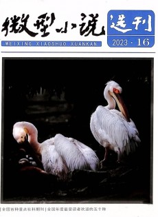 微型小说选刊